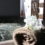 شقة 